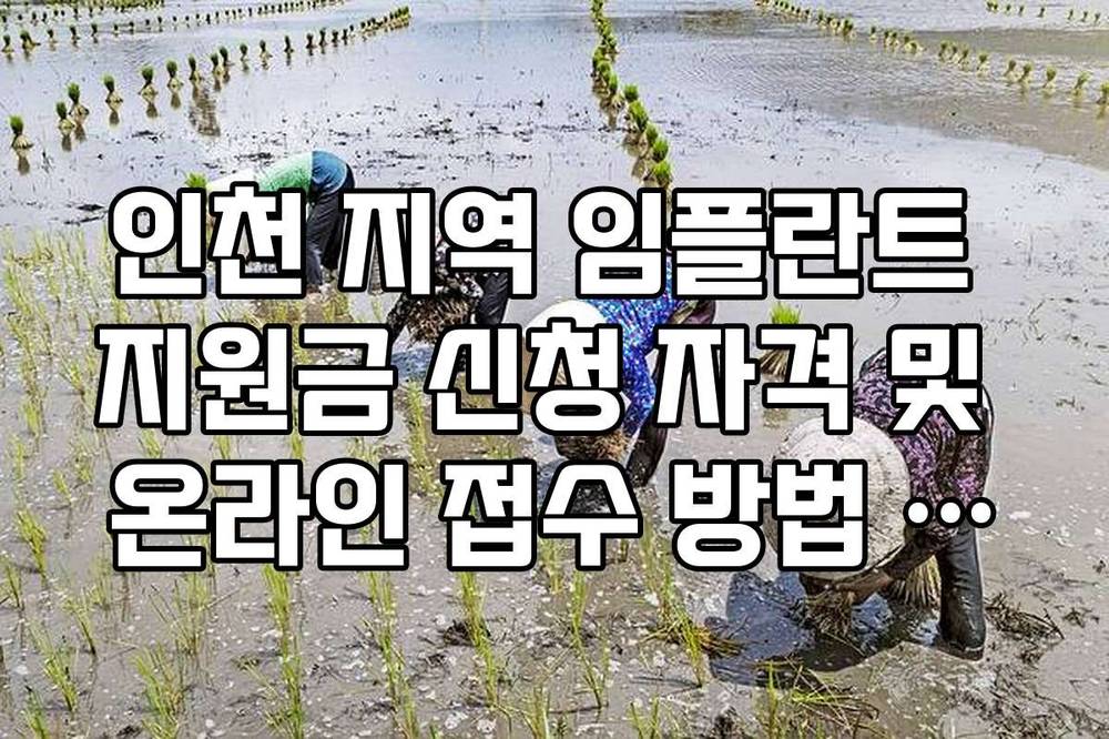 인천 지역 임플란트 지원금 신청 자격 및 온라인 접수 방법 정리