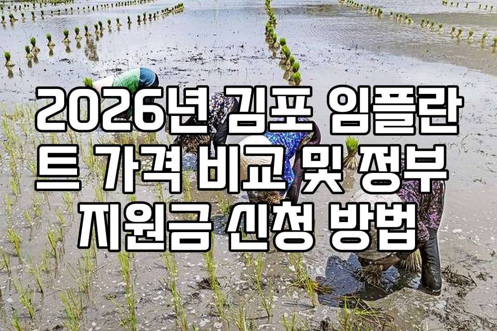 2026년 김포 임플란트 가격 비교 및 정부 지원금 신청 방법