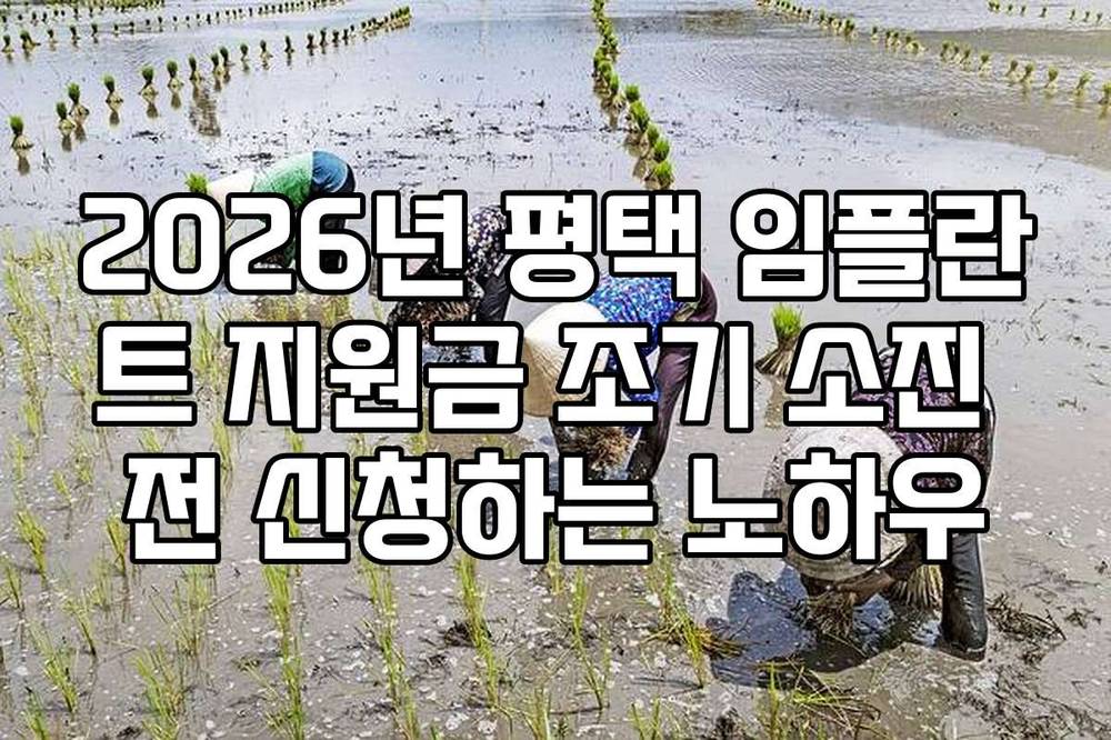 2026년 평택 임플란트 지원금 조기 소진 전 신청하는 노하우