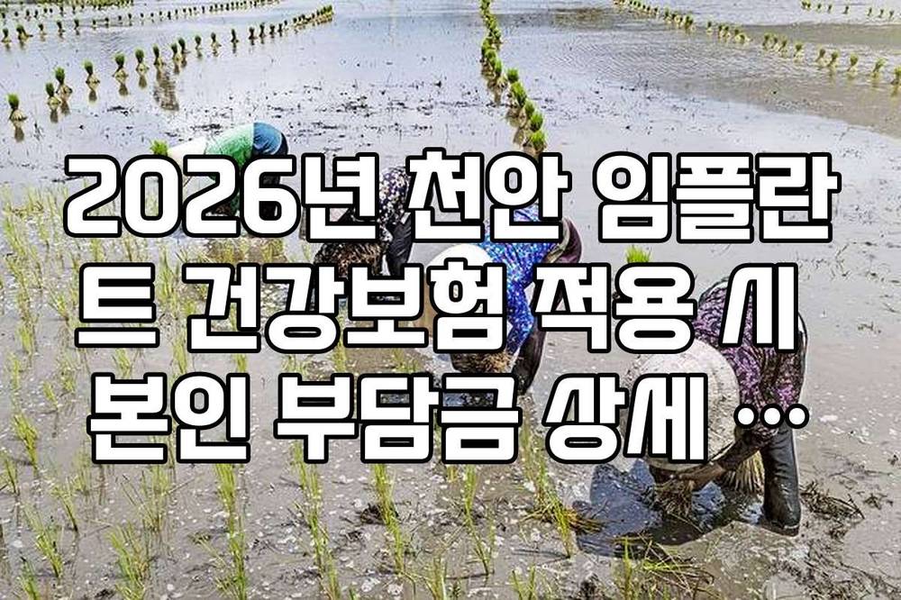 2026년 천안 임플란트 건강보험 적용 시 본인 부담금 상세 계산법