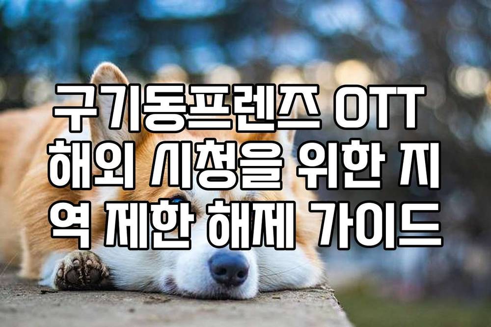 구기동프렌즈 OTT 해외 시청을 위한 지역 제한 해제 가이드