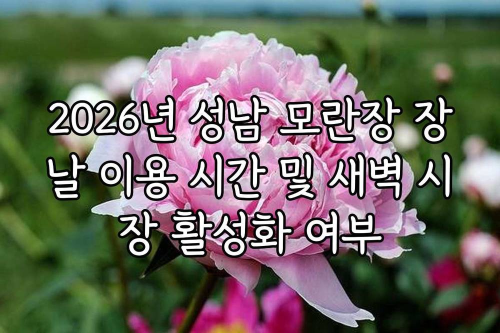 2026년 성남 모란장 장날 이용 시간 및 새벽 시장 활성화 여부