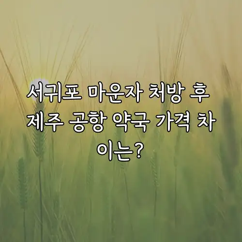 서귀포 마운자 처방 후 제주 공항 약국 가격 차이는?