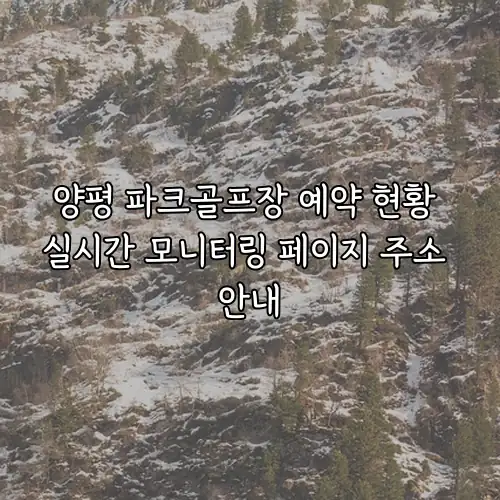 양평 파크골프장 예약 현황 실시간 모니터링 페이지 주소 안내