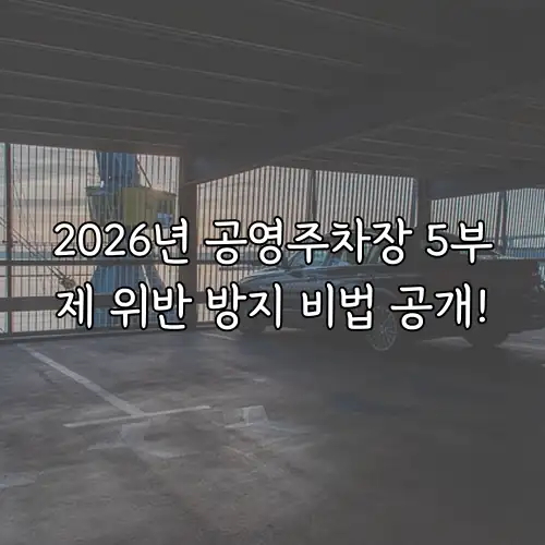 2026년 공영주차장 5부제 위반 방지 비법 공개!