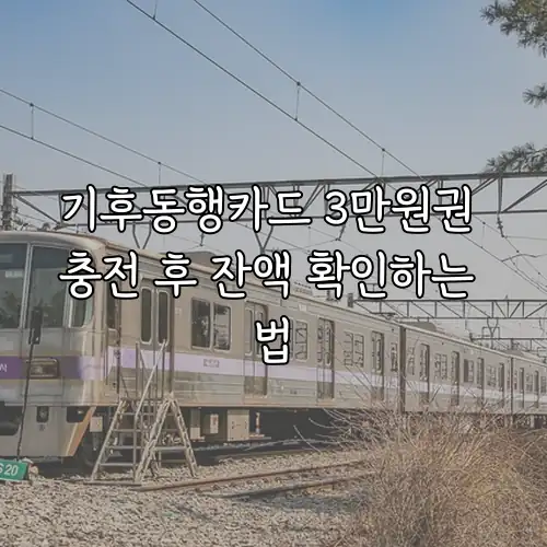 기후동행카드 3만원권 충전 후 잔액 확인하는 법