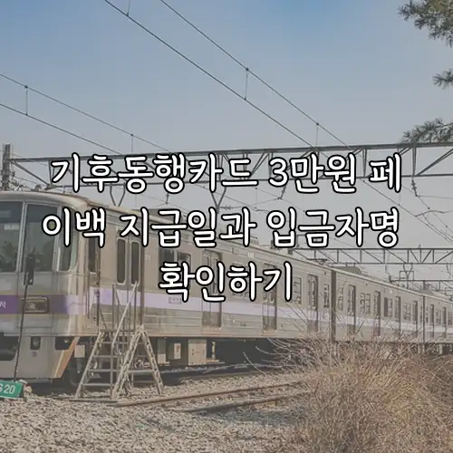 기후동행카드 3만원 페이백 지급일과 입금자명 확인하기