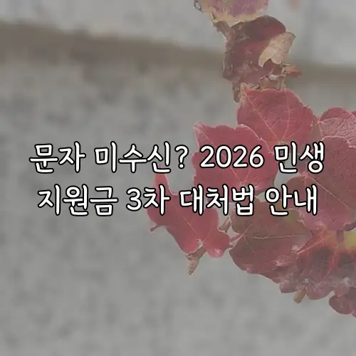 문자 미수신? 2026 민생지원금 3차 대처법 안내