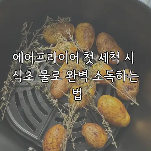 에어프라이어 첫 세척 시 식초 물로 완벽 소독하는 법