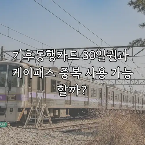 기후동행카드 30일권과 케이패스 중복 사용 가능할까?