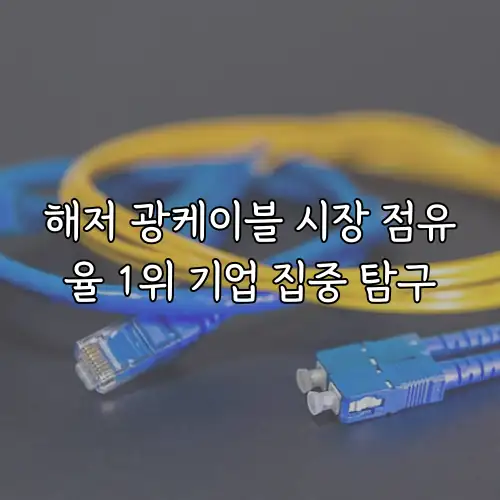 해저 광케이블 시장 점유율 1위 기업 집중 탐구