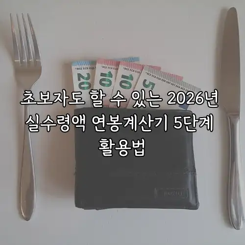 초보자도 할 수 있는 2026년 실수령액 연봉계산기 5단계 활용법