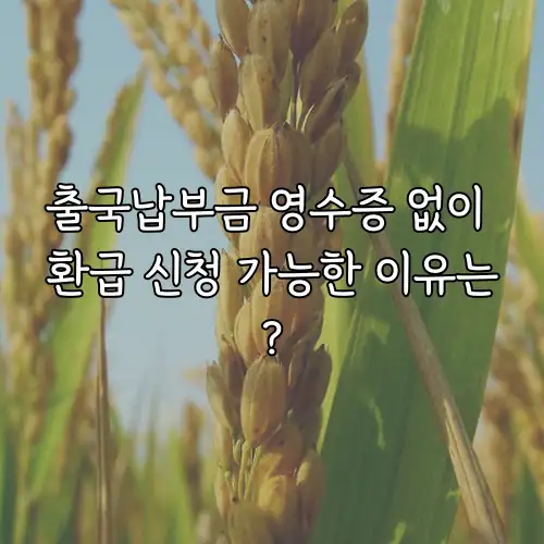 출국납부금 영수증 없이 환급 신청 가능한 이유는?