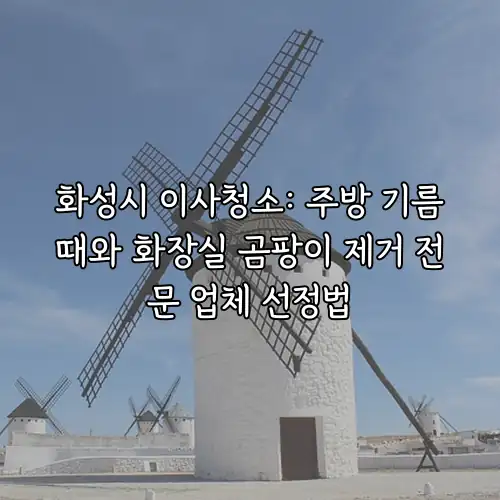 화성시 이사청소: 주방 기름때와 화장실 곰팡이 제거 전문 업체 선정법