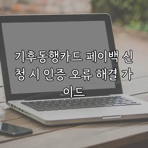 기후동행카드 페이백 신청 시 인증 오류 해결 가이드