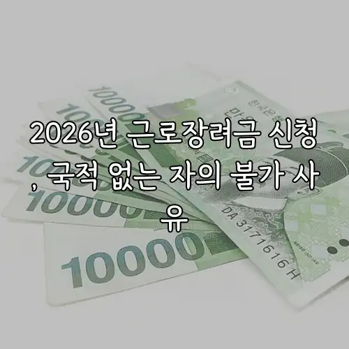 2026년 근로장려금 신청, 국적 없는 자의 불가 사유