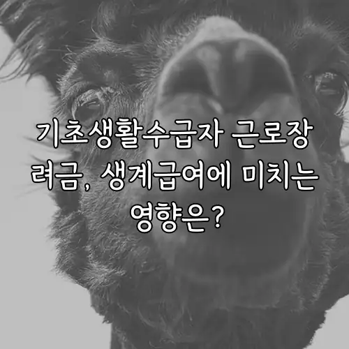 기초생활수급자 근로장려금, 생계급여에 미치는 영향은?