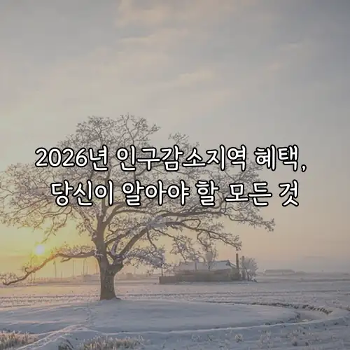 2026년 인구감소지역 혜택, 당신이 알아야 할 모든 것