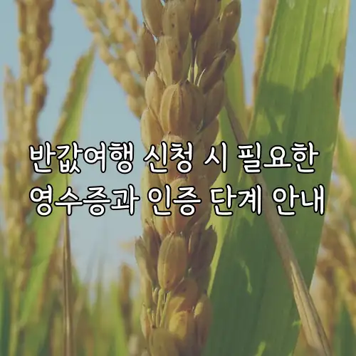 반값여행 신청 시 필요한 영수증과 인증 단계 안내