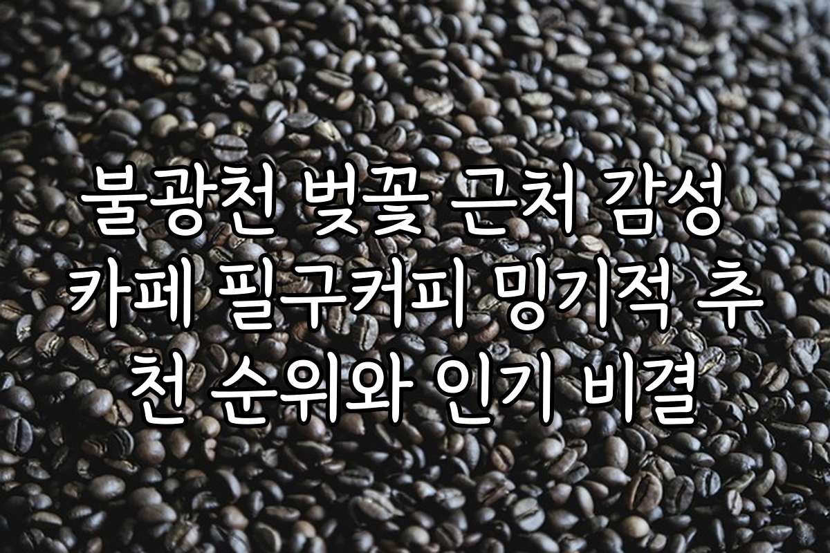 불광천 벚꽃 근처 감성 카페 필구커피 밍기적 추천 순위와 인기 비결