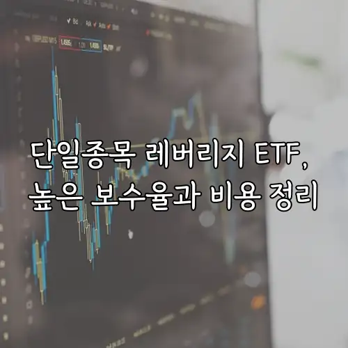단일종목 레버리지 ETF, 높은 보수율과 비용 정리