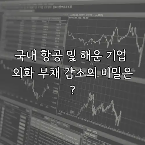 국내 항공 및 해운 기업 외화 부채 감소의 비밀은?