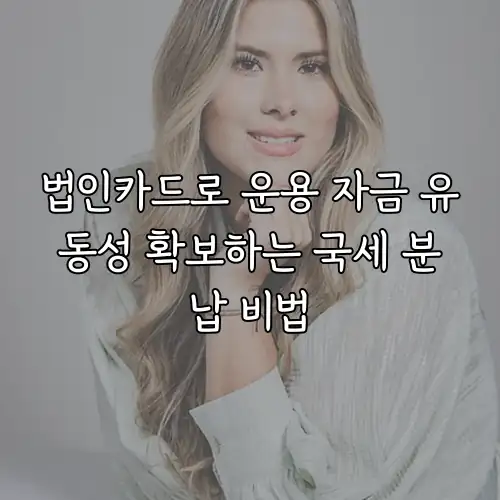 법인카드로 운용 자금 유동성 확보하는 국세 분납 비법