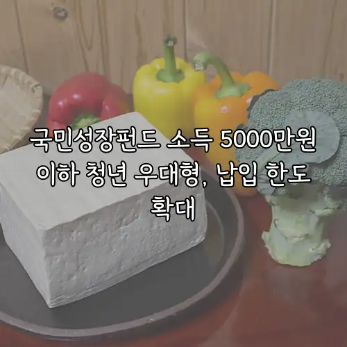 국민성장펀드 소득 5000만원 이하 청년 우대형, 납입 한도 확대