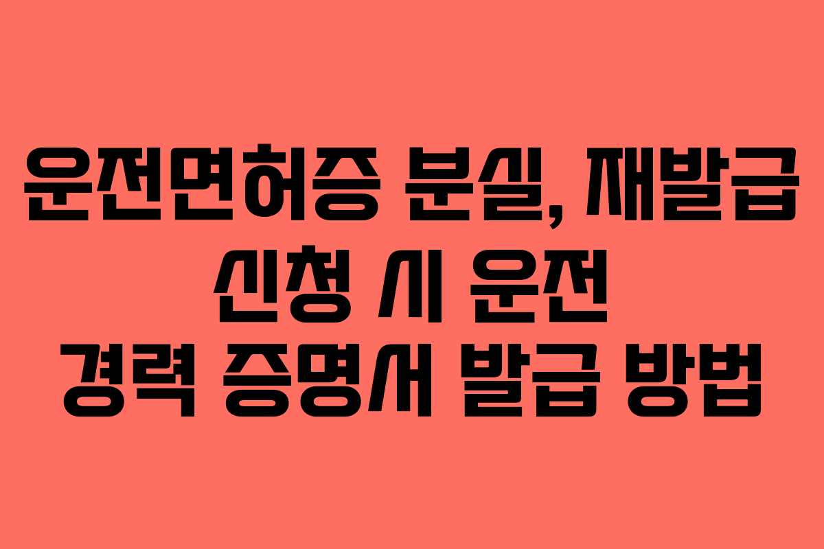 운전면허증-분실,-재발급-신청-시-운전-경력-증명서-발급-방법