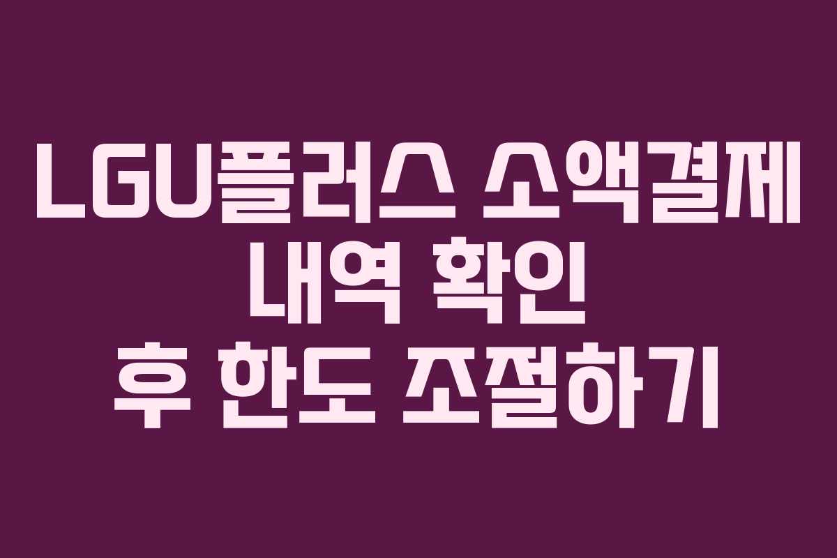 LGU플러스-소액결제-내역-확인-후-한도-조절하기