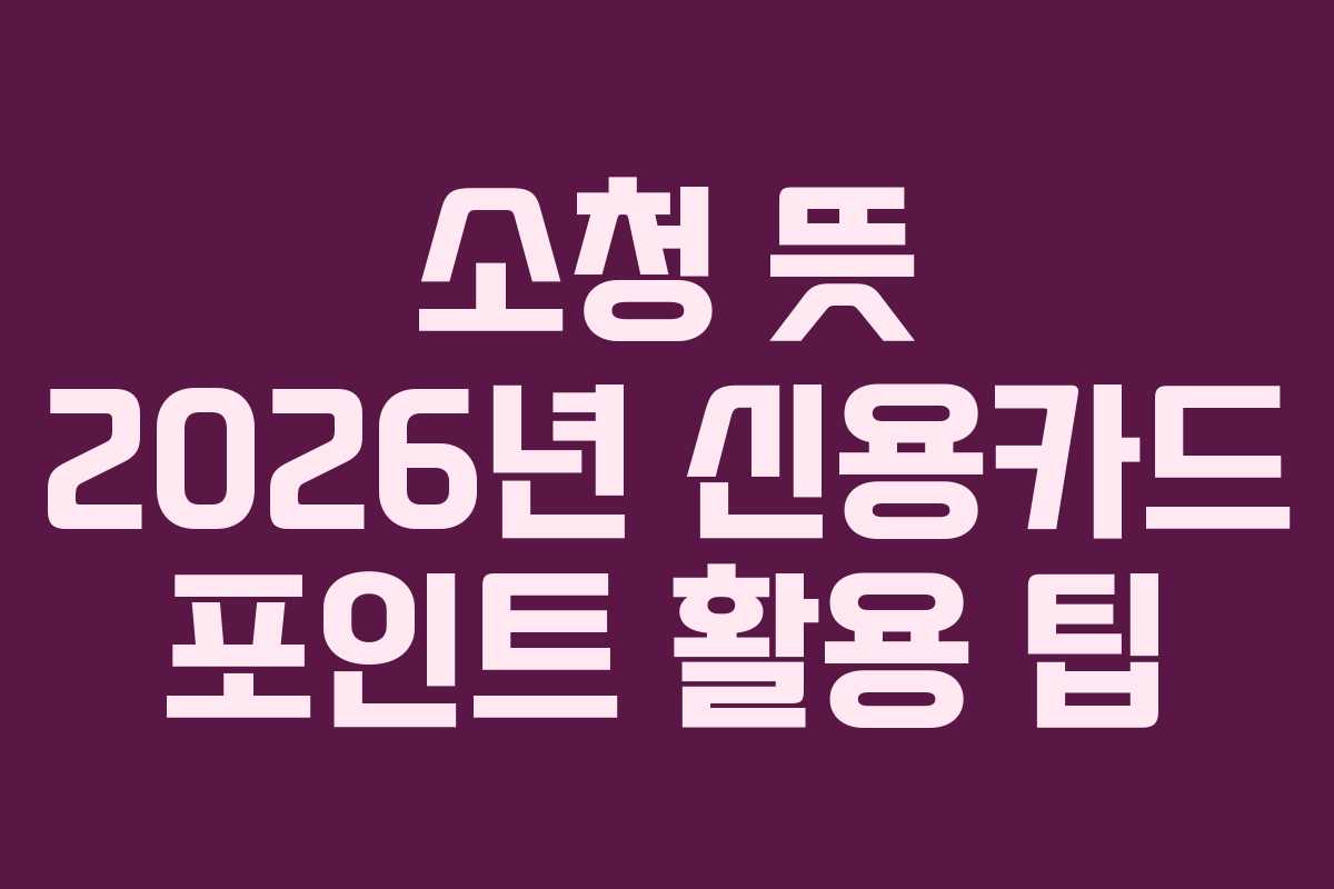 소청-뜻-2026년-신용카드-포인트-활용-팁